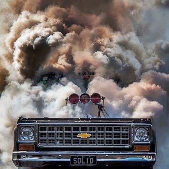 Meet your Posher, Kert - Picture 1 of 1